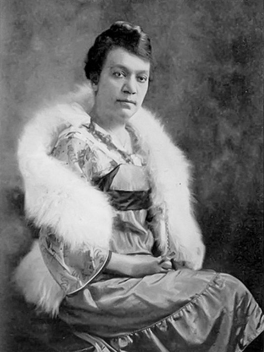 A light-skinned African American woman sits in a silky evening dress and fur around her shoulders. Her hair is styled into an up-do and her hands rest on her lap. She looks into the camera with a serious expression on her face.