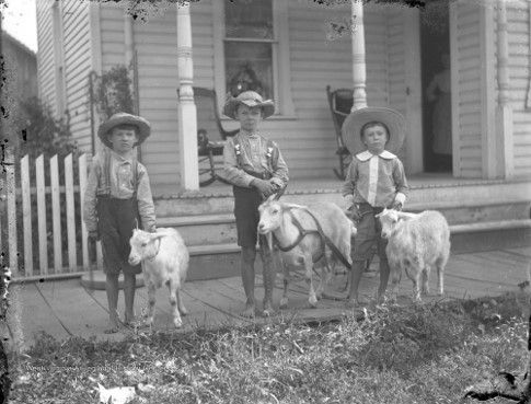 Three young boys wearing suspenders and wide brimmed cowboy-style hats stand on the sidewalk in front of a house, each holding a leash attached to a goat. 